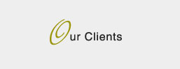 About Landmark Surveys Logo